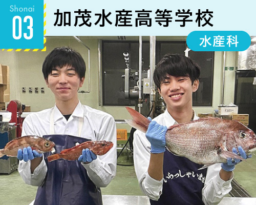 03加茂水産高等学校