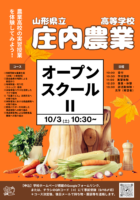 <br />
<b>Warning</b>:  Undefined variable $sec_title in <b>/home/kenritsukoko/pref-yamagata.ed.jp/public_html/kenritsukoko/wp-content/themes/yhsp/loop-templates/content.php</b> on line <b>29</b><br />
