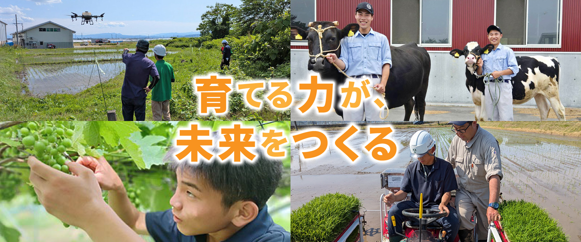 スライド2-202608